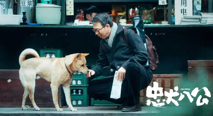 在国外怎么看欧冠直播示例